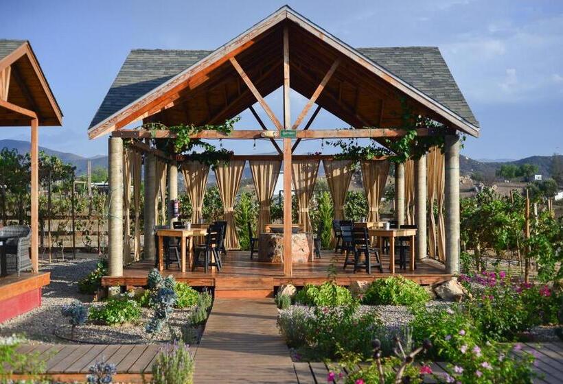 חדר סטנדרט עם טרסה, Tres Vides Hotel Boutique