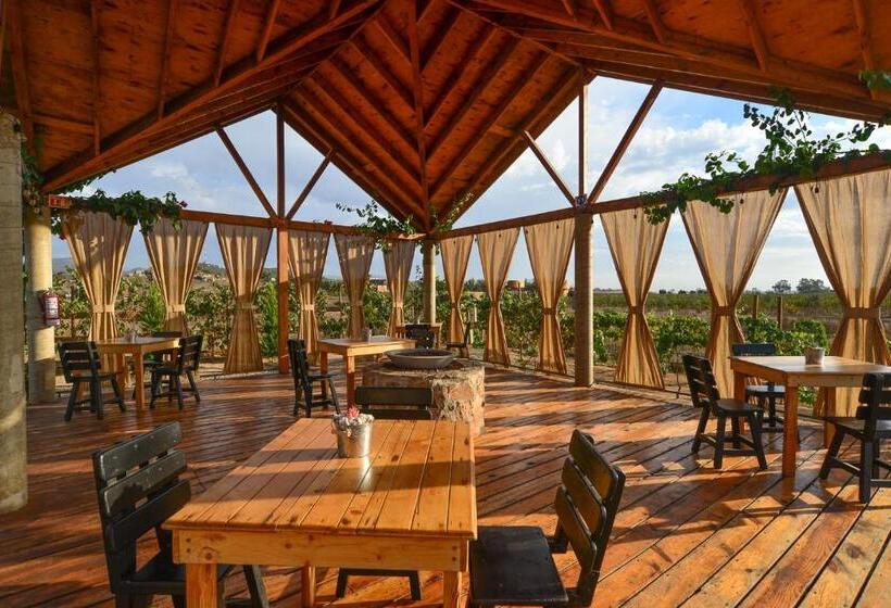 חדר סטנדרט עם טרסה, Tres Vides Hotel Boutique