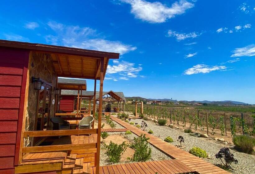 חדר סטנדרט עם טרסה, Tres Vides Hotel Boutique