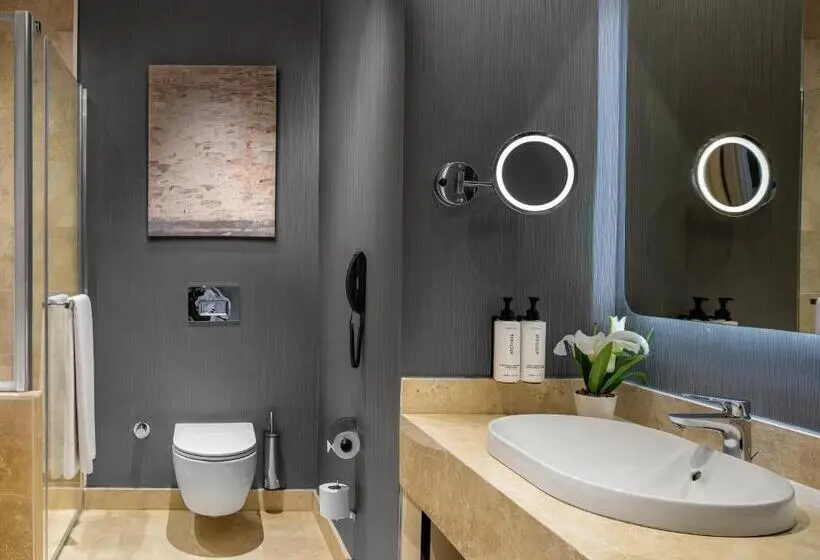 クラブルーム, Crowne Plaza Istanbul Tuzla Viaport Marina By Ihg