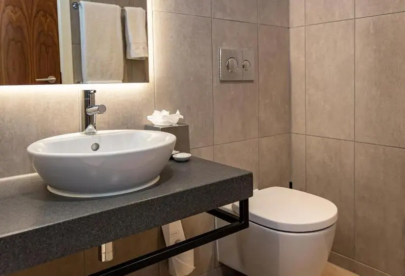 اتاق استاندارد با تخت بزرگ, La Tour