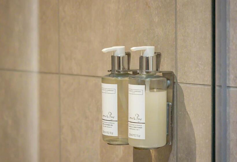 适合残疾人士使用的带超级大床的标准间, La Tour