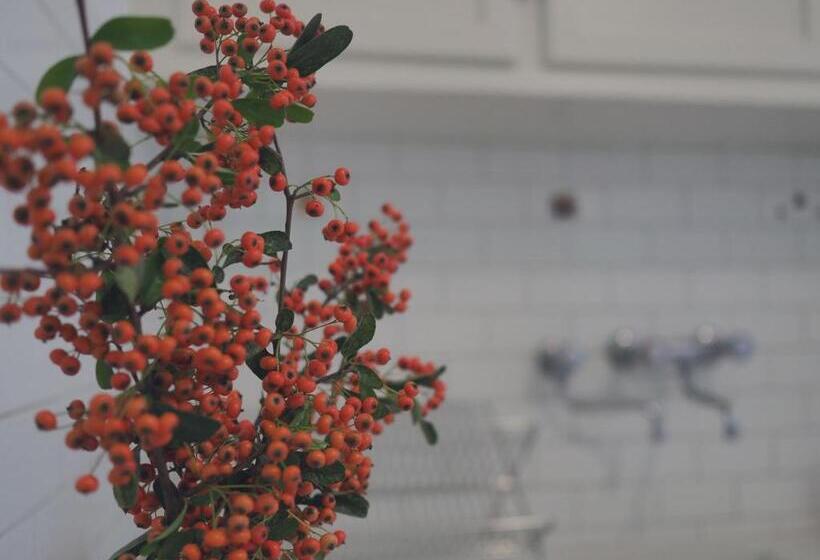 דירת חדר, Villa Monti