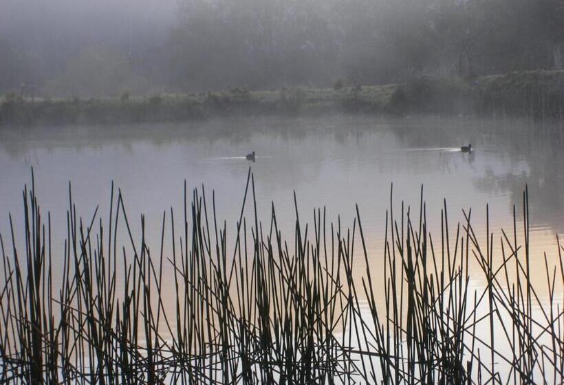 バルコニー付きスタンダードルーム, Yasuragi Cabins