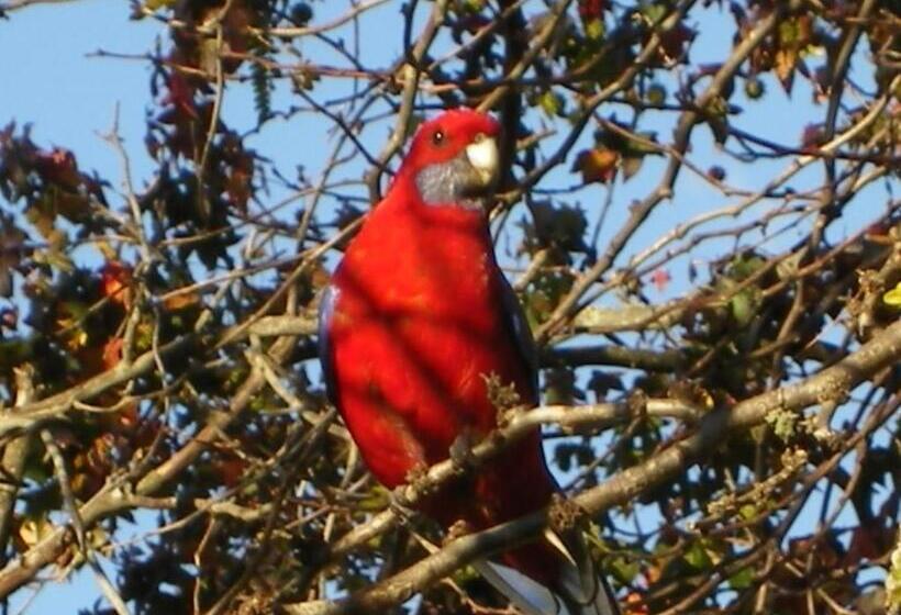 バルコニー付きスタンダードルーム, Yasuragi Cabins