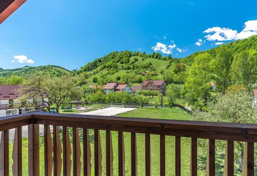 اتاق استاندارد, Happy Times