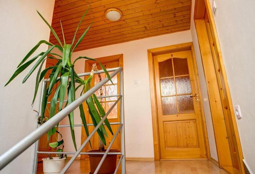 خانه 4 خوابه, Penzión Janega