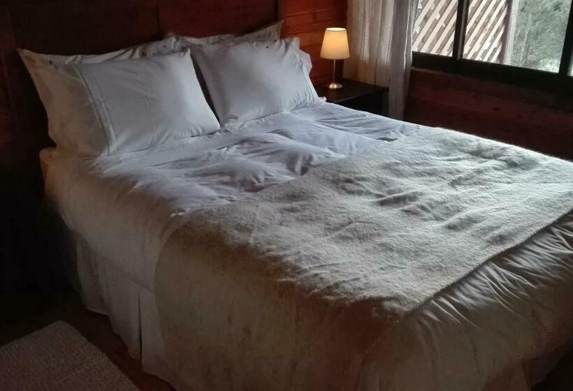 דירת חדר, Terrazas Del Palena