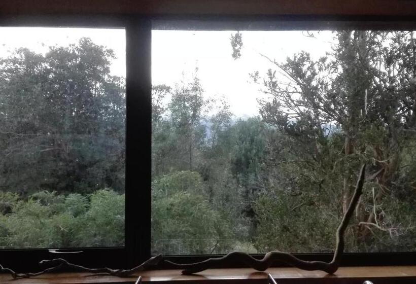 דירת חדר, Terrazas Del Palena