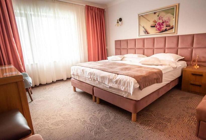 Superior room with lake view, Roser House Boutique   Pe Malul Lacului Colibita