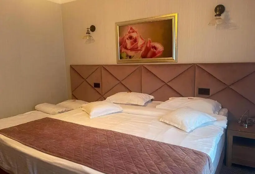 Superior-huone Näkymä, Roser House Boutique   Pe Malul Lacului Colibita