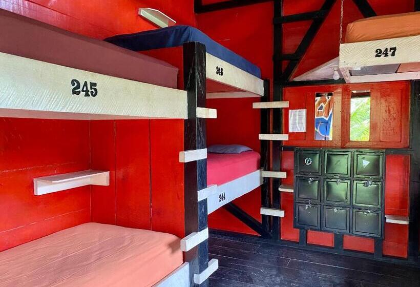 تختخواب در اتاق مشترک, Greengos