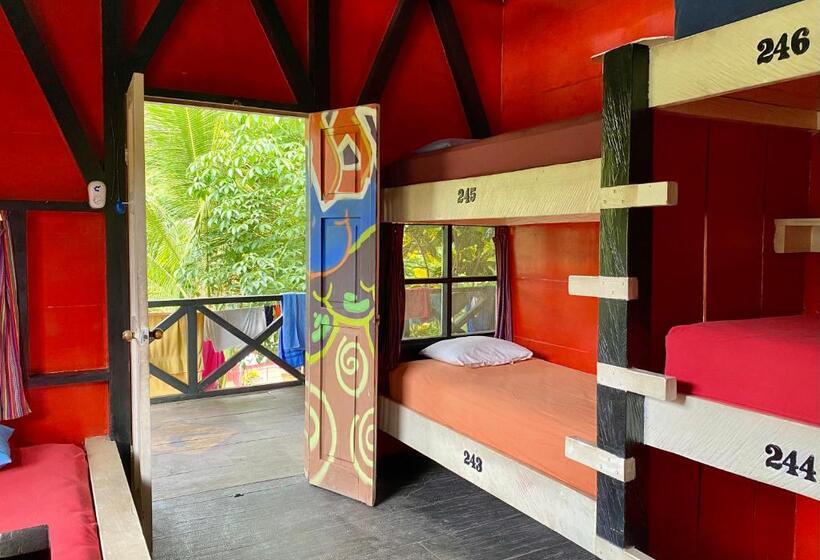 تختخواب در اتاق مشترک, Greengos