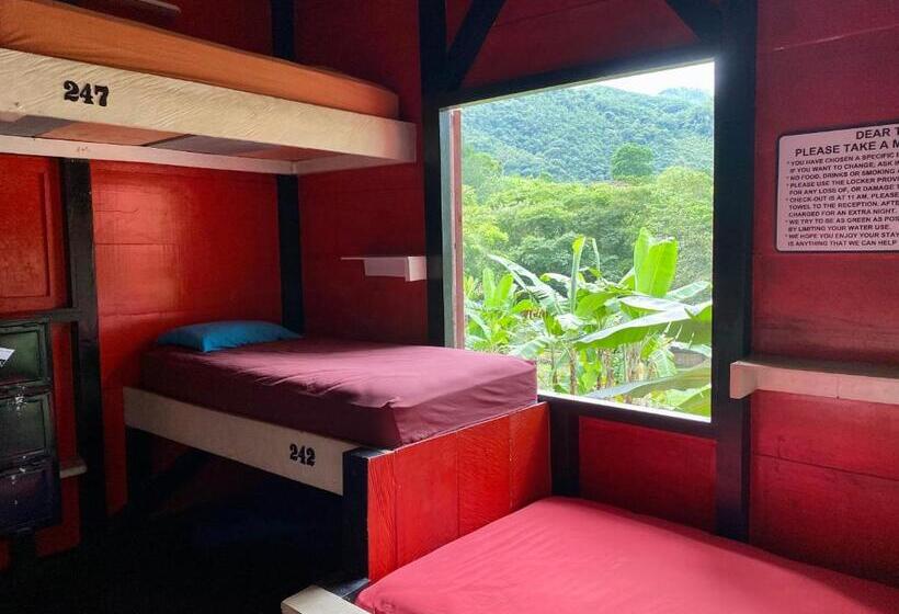 تختخواب در اتاق مشترک, Greengos