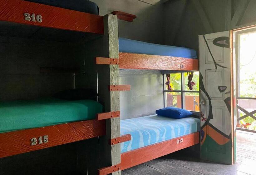 تختخواب در اتاق مشترک, Greengos