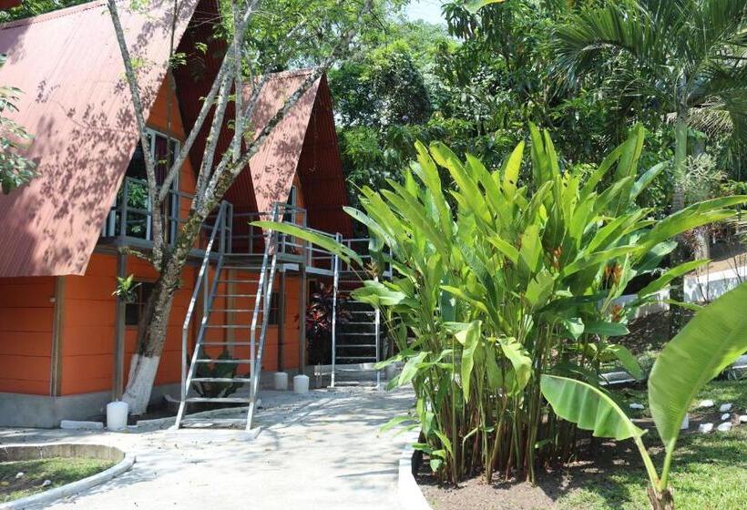 اتاق لوکس, Greengos