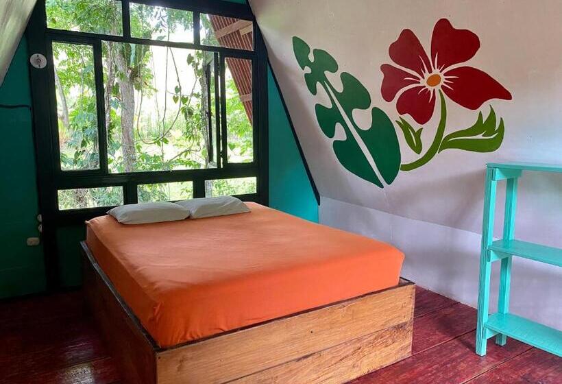 اتاق لوکس, Greengos