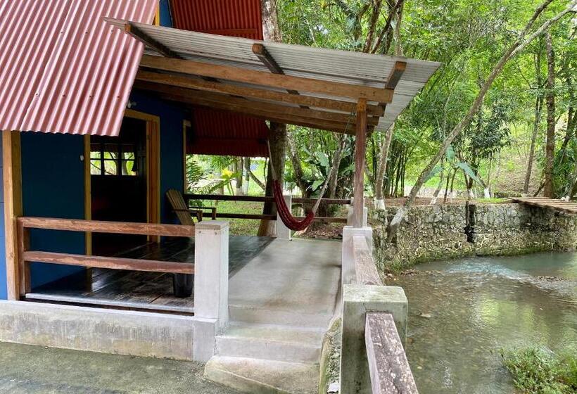 اتاق استاندارد, Greengos