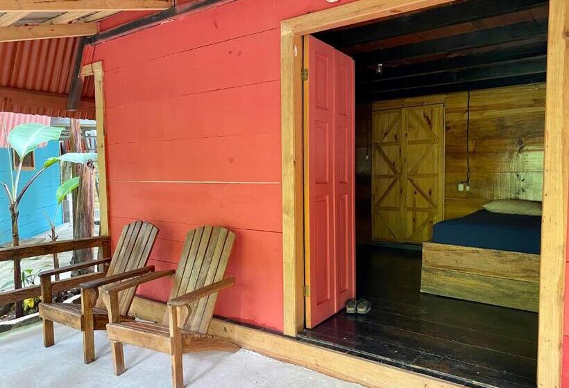 اتاق استاندارد, Greengos