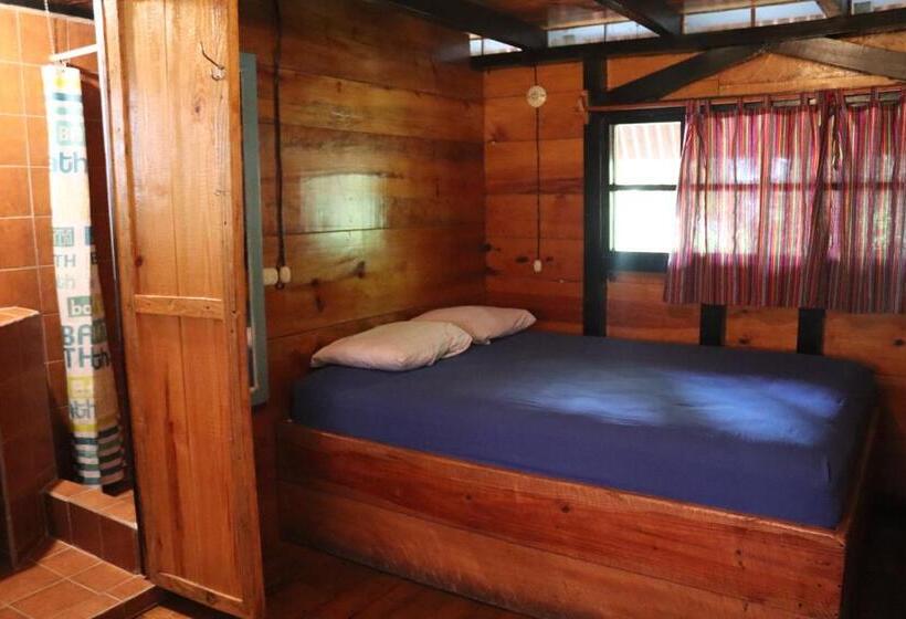 اتاق استاندارد, Greengos