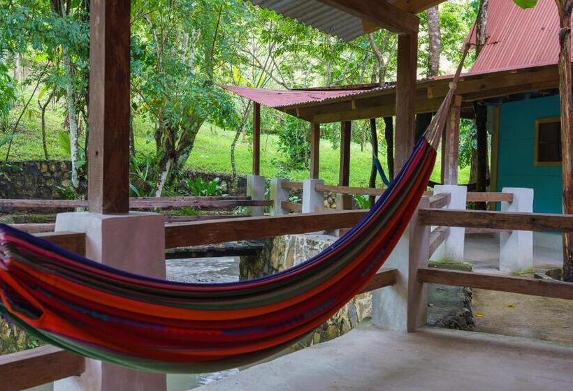 اتاق استاندارد, Greengos