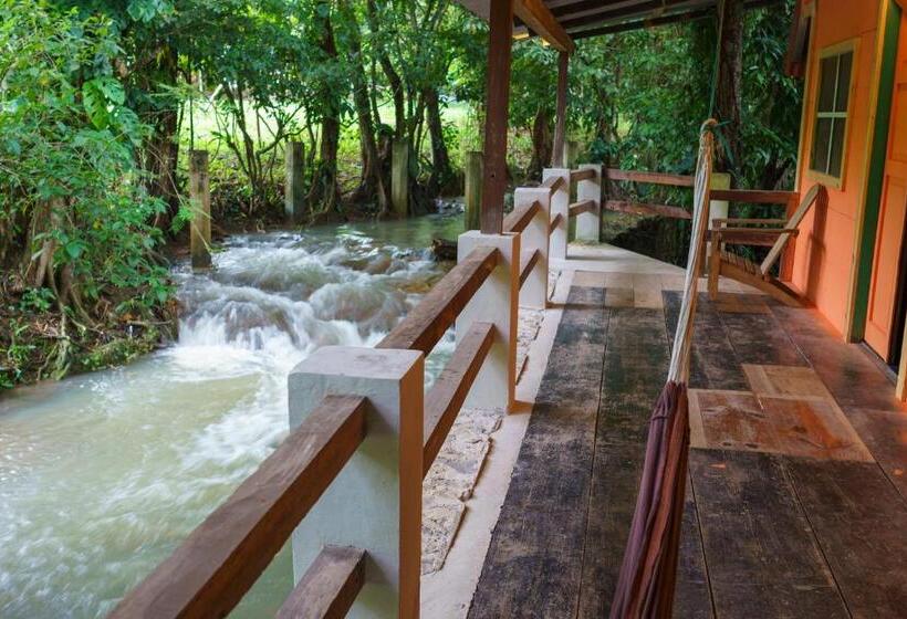 اتاق استاندارد, Greengos