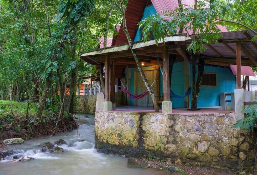 اتاق استاندارد, Greengos