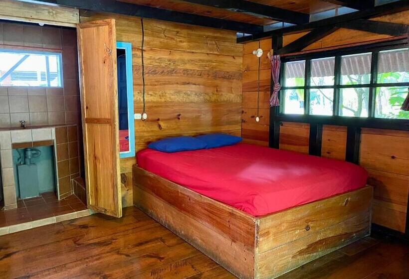 اتاق استاندارد, Greengos