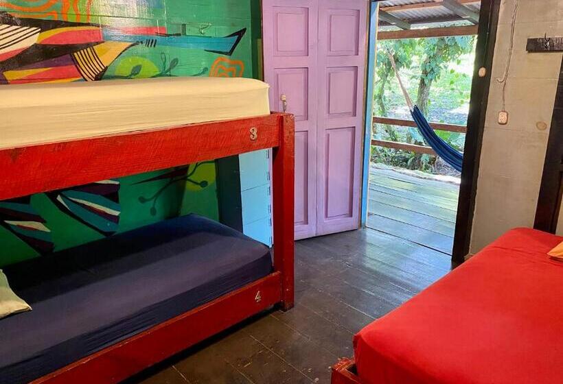 اتاق استاندارد سه نفره, Greengos