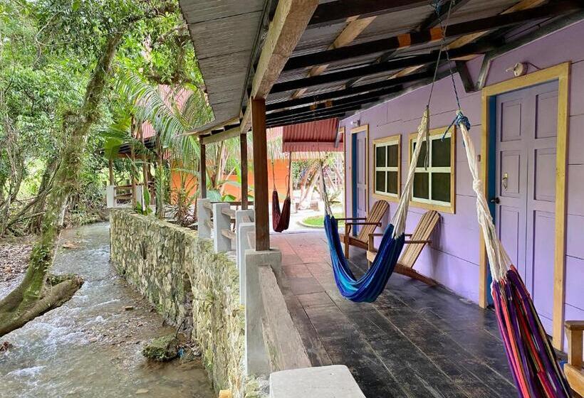 اتاق استاندارد سه نفره, Greengos