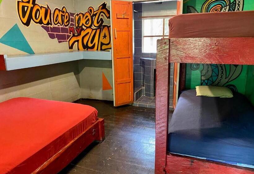 اتاق استاندارد سه نفره, Greengos