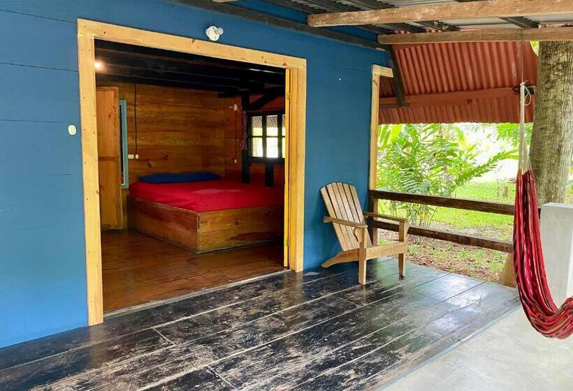 اتاق استاندارد, Greengos