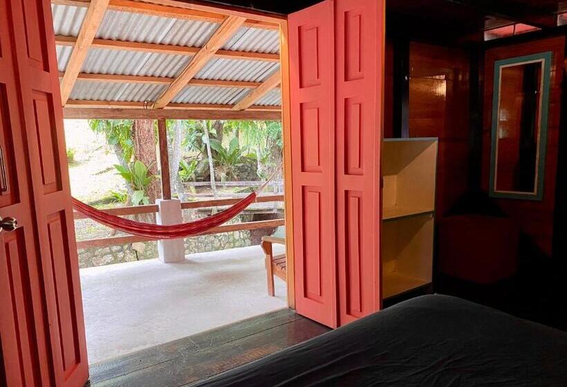 اتاق استاندارد, Greengos