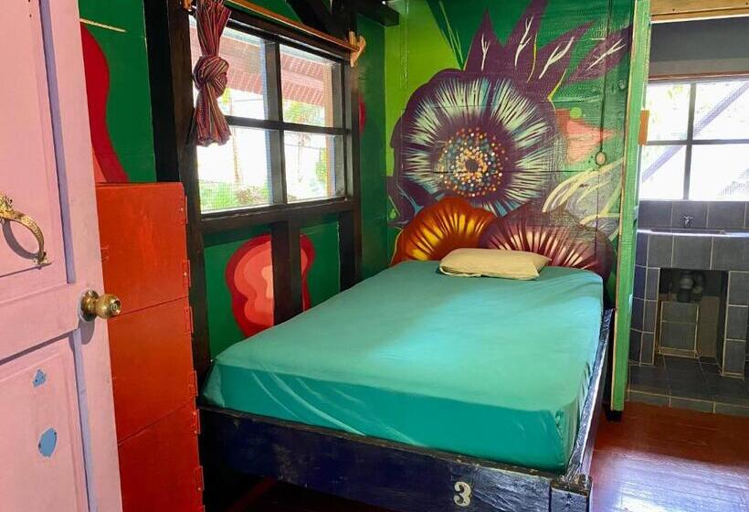 اتاق استاندارد, Greengos