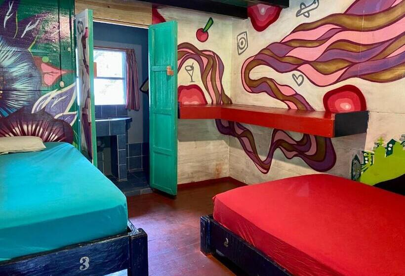 اتاق استاندارد, Greengos