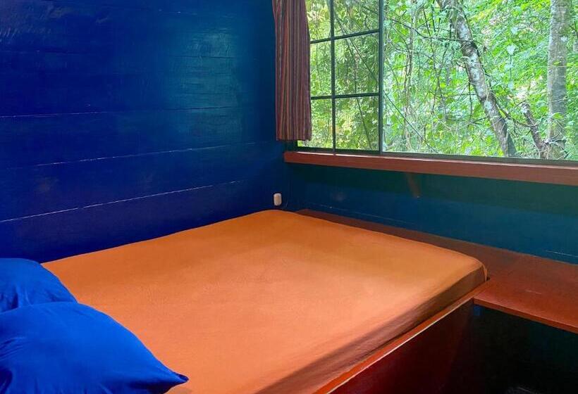 اتاق استاندارد, Greengos