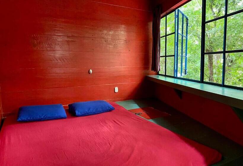 اتاق استاندارد, Greengos