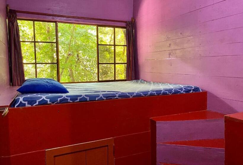 اتاق استاندارد, Greengos