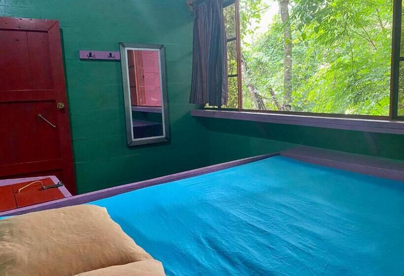 اتاق استاندارد, Greengos