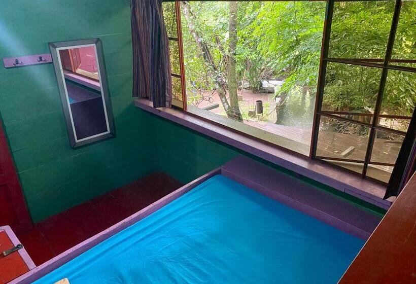 اتاق استاندارد, Greengos