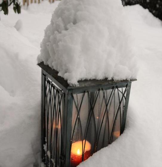 Апартаменты 1 Спальня, Haus Miriam