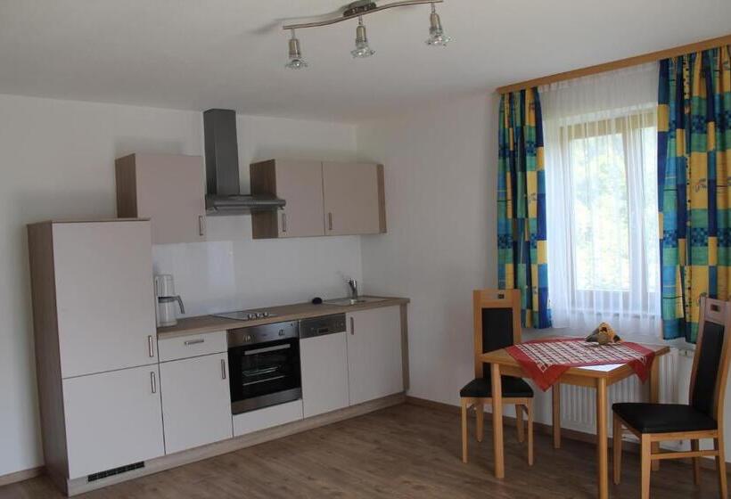 1 Bedroom Apartment Mountain View, Vorderwimmhof