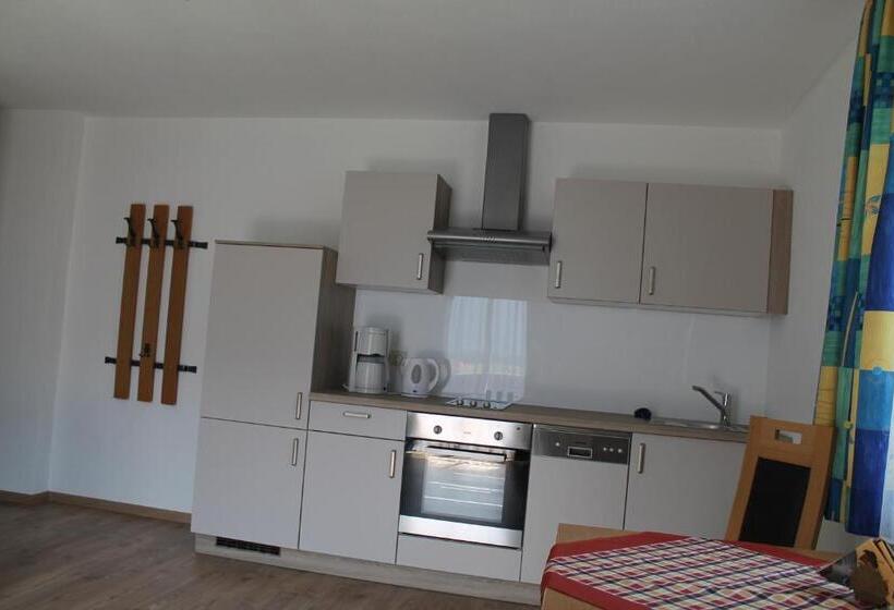 1 Bedroom Apartment Mountain View, Vorderwimmhof