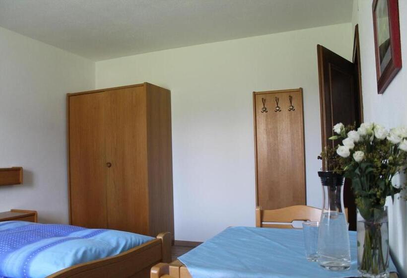 景色の見える一ベッドルームアパートメント, Vorderwimmhof