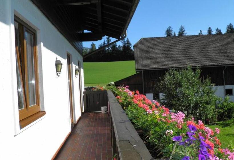 1 Bedroom Apartment Mountain View, Vorderwimmhof