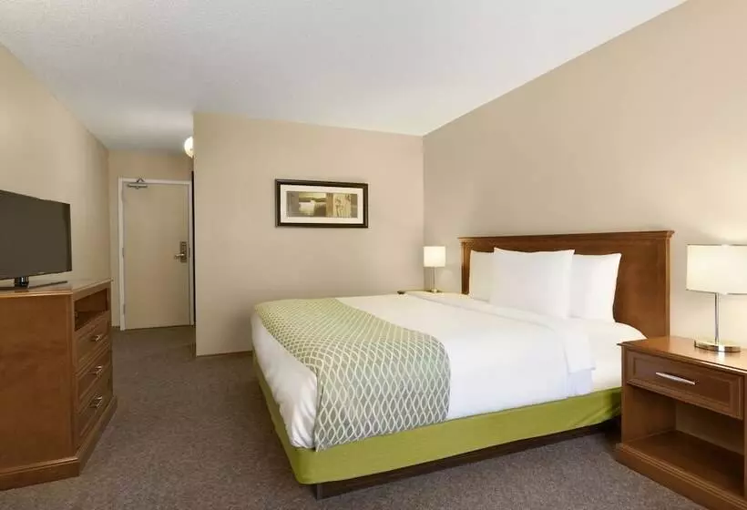 スタンダードルーム, Colonial Square Inn & Suites