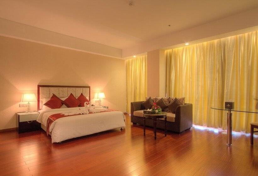 Номер Премиум, Dara Airport