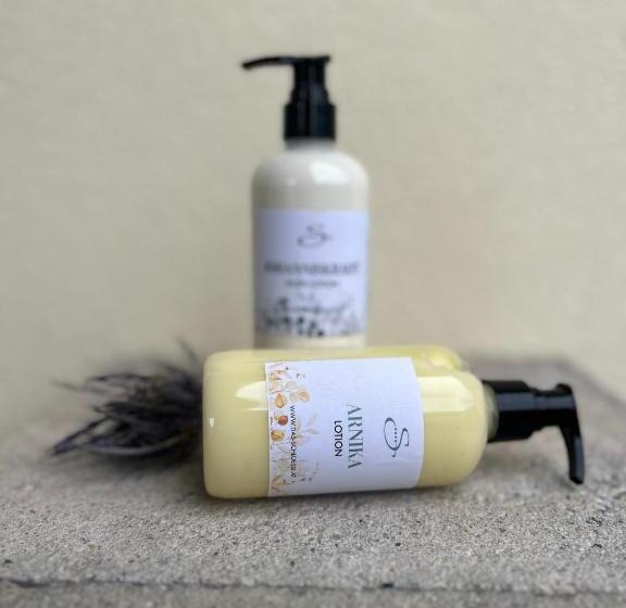 小型套房带阳台, Das Schlössl