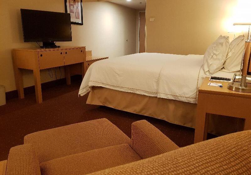 Quarto Standard Vista Cidade, Holiday Inn Express Rotterdam   Central Station, An Ihg