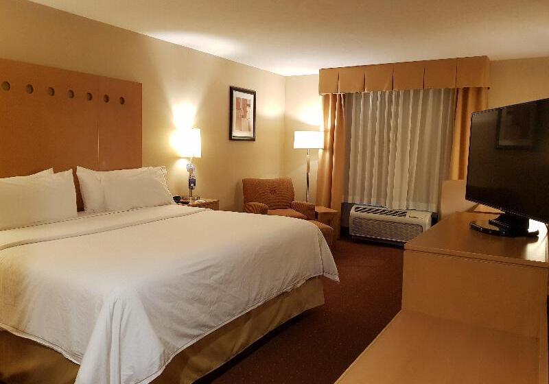 带城市景观的标准间, Holiday Inn Express Rotterdam   Central Station, An Ihg
